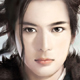 白眉婵