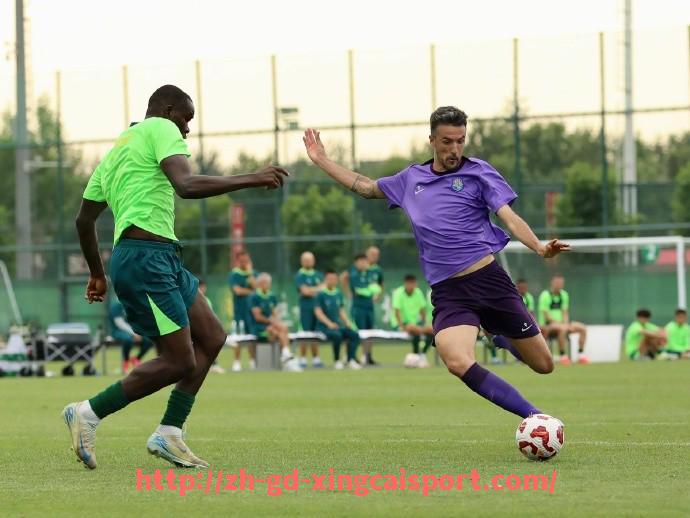 杏彩体育-2019年中超联赛赛程全览及重点场次预测分析