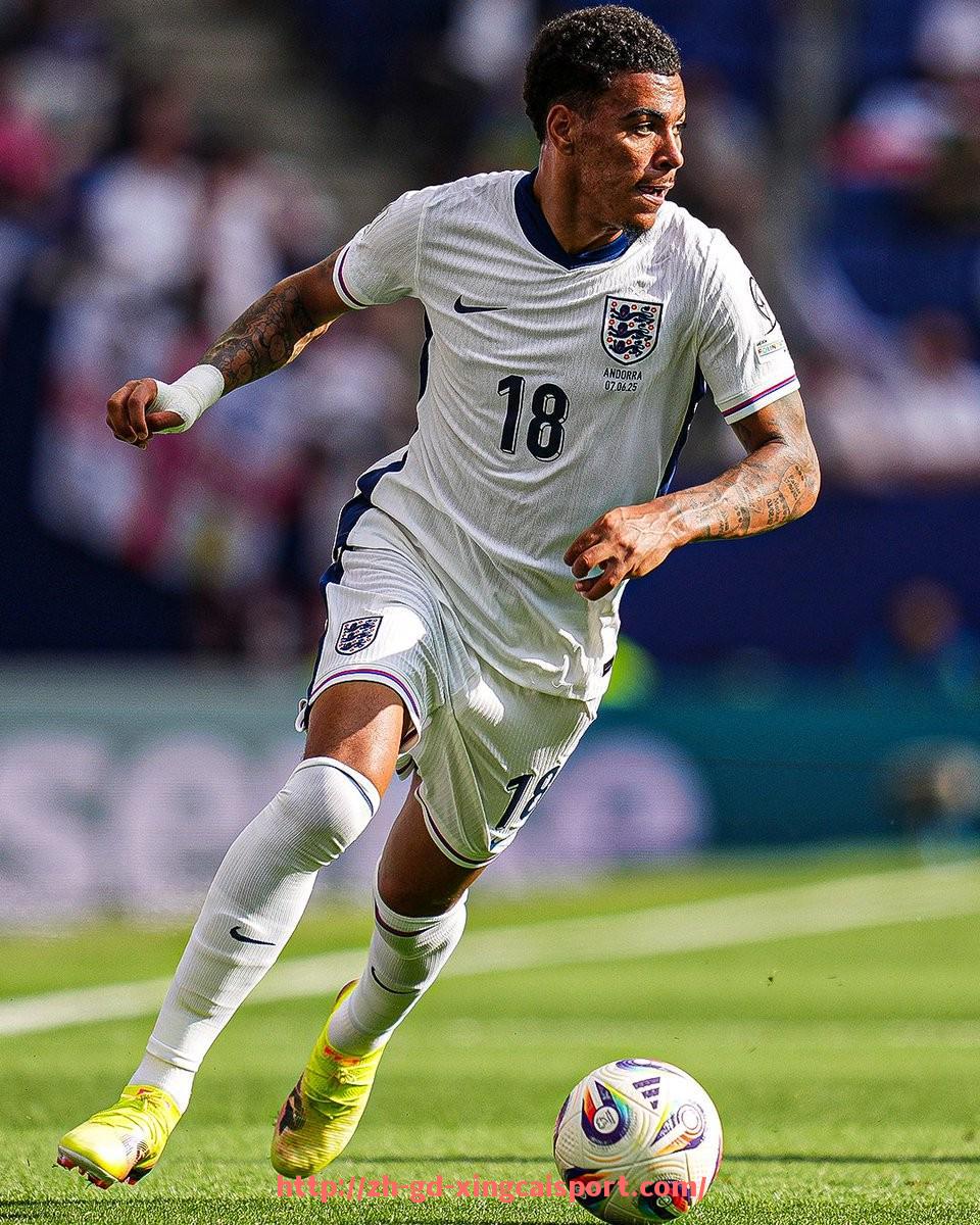 杏彩体育-法甲联赛中存在的裁判争议事件汇总与分析