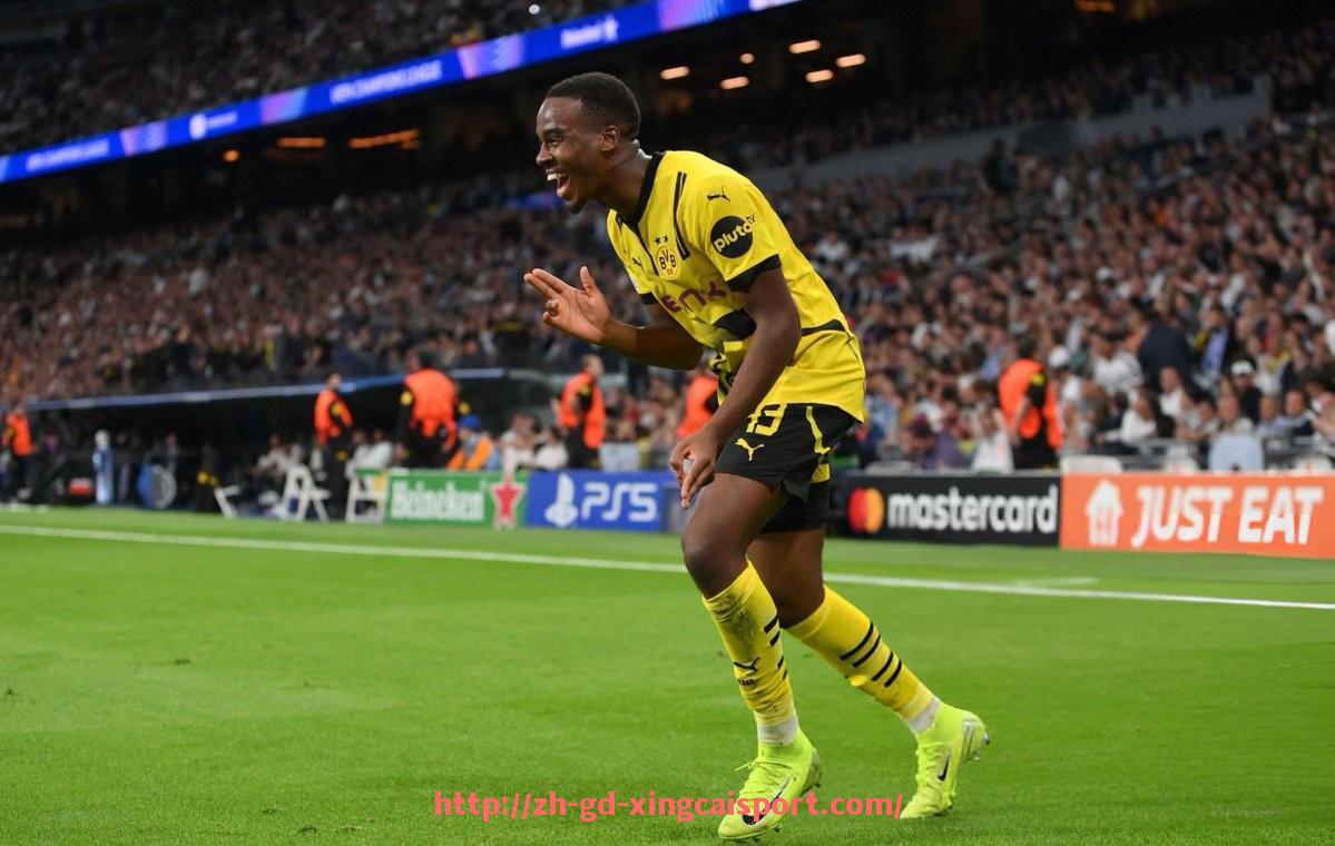 杏彩体育-德甲历届冠军球队名单盘点：从拜仁到凯泽斯劳滕