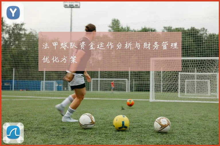 法甲球队资金运作分析与财务管理优化方案