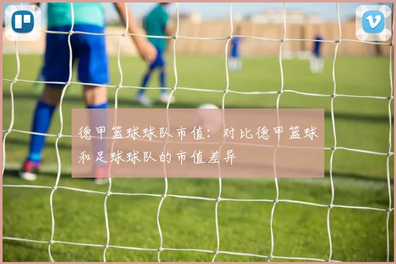 德甲篮球球队市值：对比德甲篮球和足球球队的市值差异