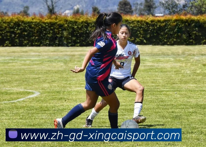 杏彩体育平台生态图