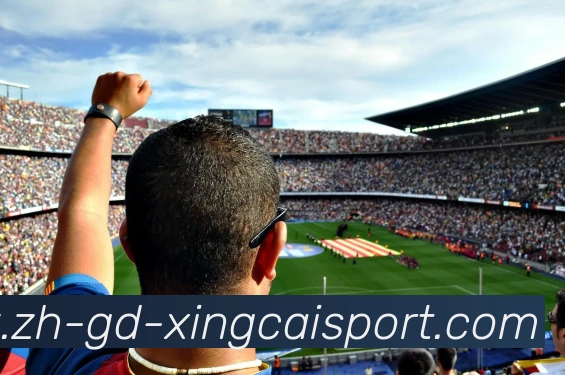 杏彩体育APP 封面图