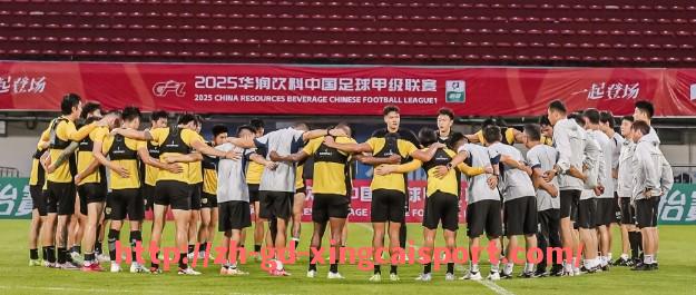 杏彩体育-意甲足球队集锦高清视频合集，尽享足坛魅力